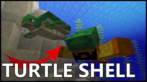 A turtle (in Java Edition), also known as a sea turtle (in Bedrock Edition), is a common passive mob found in beach biomes. . How to get turtle shell minecraft